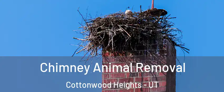 Chimney Animal Removal Cottonwood Heights - UT
