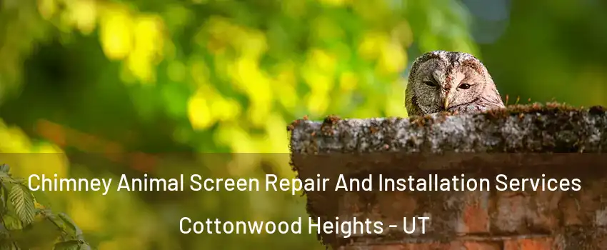  Chimney Animal Screen Repair And Installation Services Cottonwood Heights - UT
