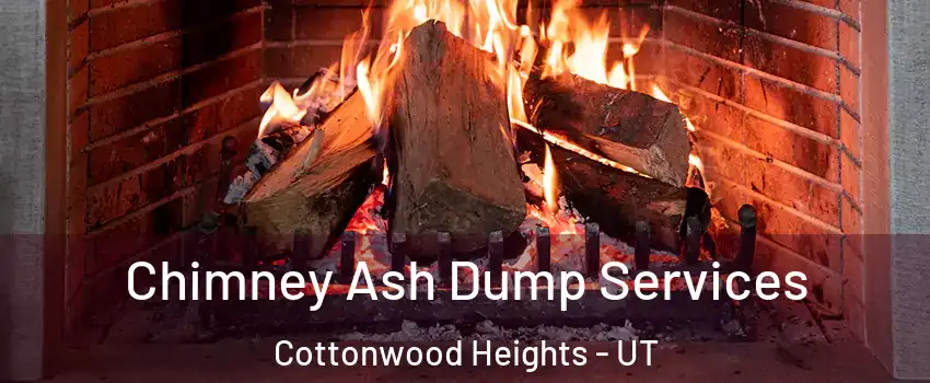  Chimney Ash Dump Services Cottonwood Heights - UT