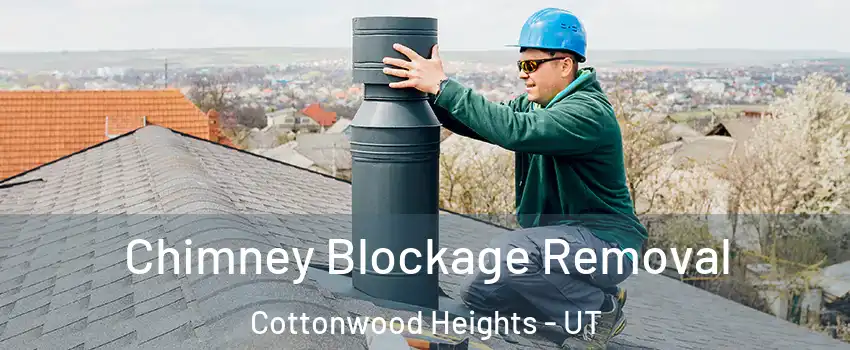  Chimney Blockage Removal Cottonwood Heights - UT