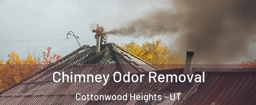  Chimney Odor Removal Cottonwood Heights - UT