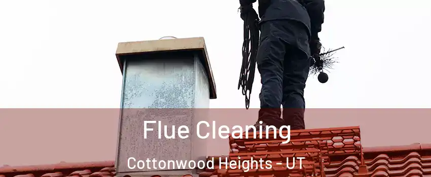  Flue Cleaning Cottonwood Heights - UT
