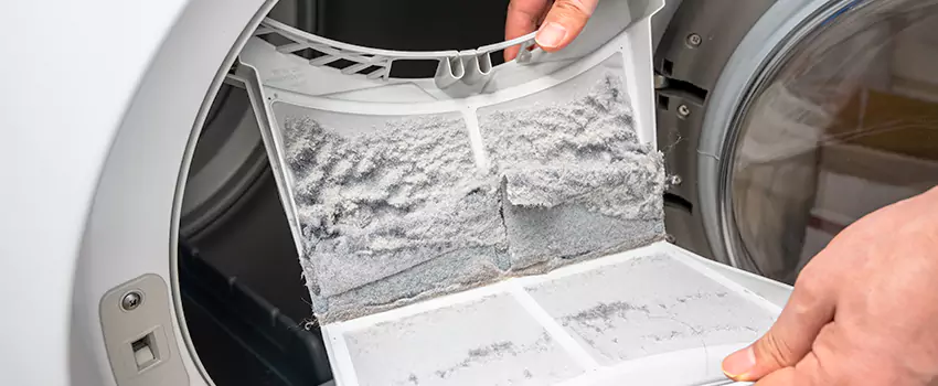 Best Dryer Lint Removal Company in Cottonwood Heights, Utah