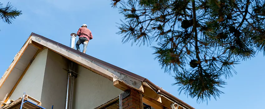 Birds Removal Contractors from Chimney in Cottonwood Heights, UT