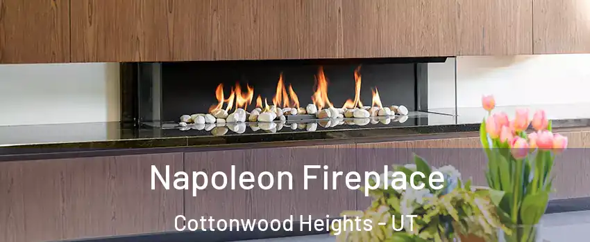  Napoleon Fireplace Cottonwood Heights - UT