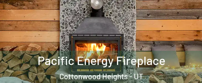  Pacific Energy Fireplace Cottonwood Heights - UT