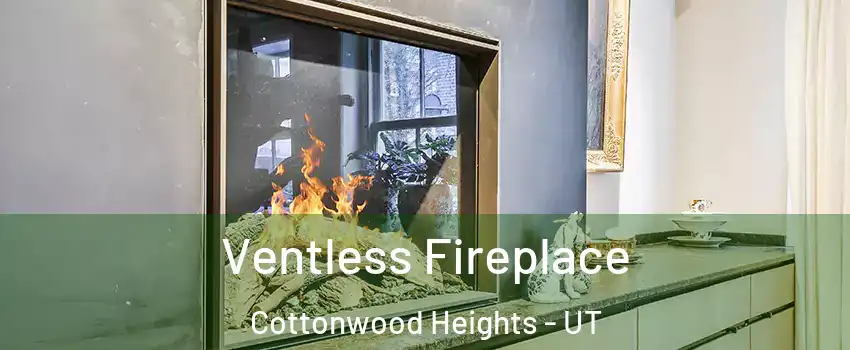  Ventless Fireplace Cottonwood Heights - UT